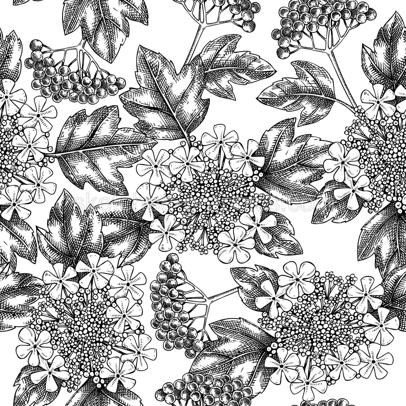Spring garden seamless pattern. Guelder rose blossom sketch in engraved style. Flowering branch with flowers, berries and leaves background. Botanical vector floral sketches isolated on white  Illustration